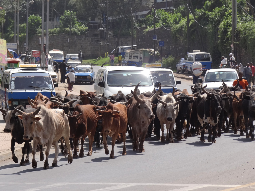 traffic jam