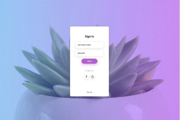 Top 10 signup form designs in Bootstrap with CSS and HTML