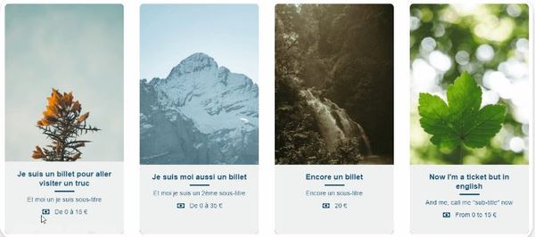 Top 20 Card designs Codepen with HTML CSS